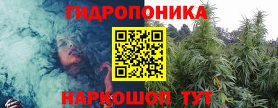 сатива Краснодар