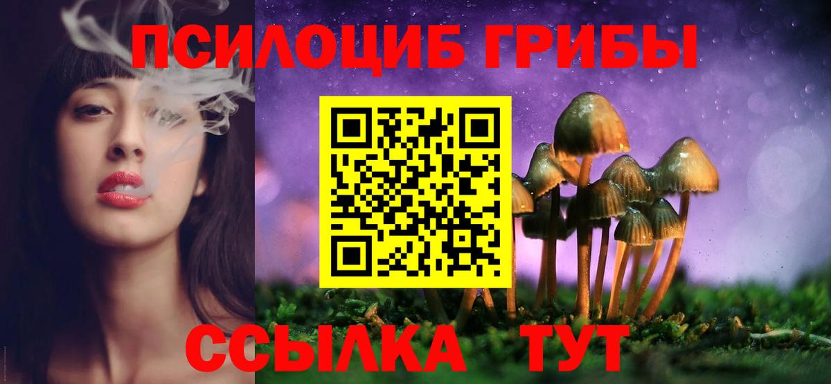 Галлюциногенные грибы Cubensis  Псилоцибиновые грибы прущие грибы  Ишим  Вход с VPN 