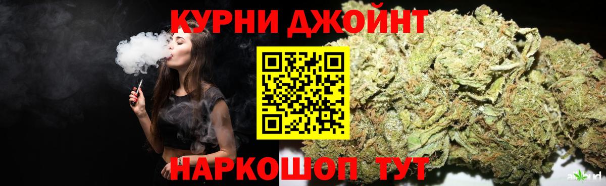 Каннабис сатива Ишим